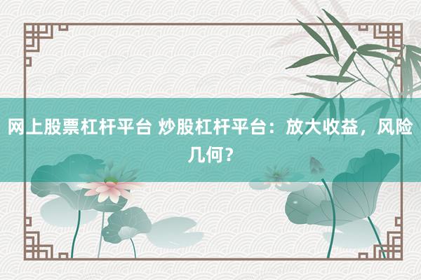 网上股票杠杆平台 炒股杠杆平台：放大收益，风险几何？