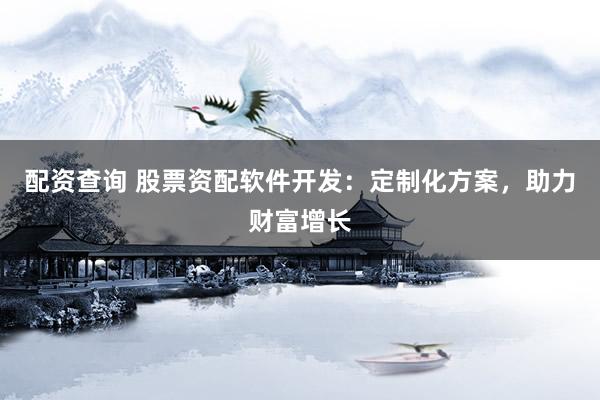 配资查询 股票资配软件开发：定制化方案，助力财富增长