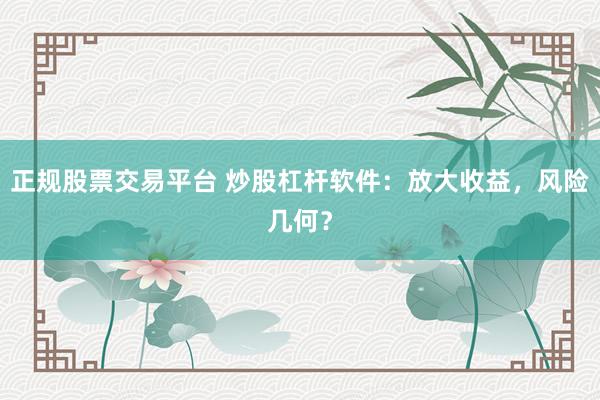 正规股票交易平台 炒股杠杆软件：放大收益，风险几何？