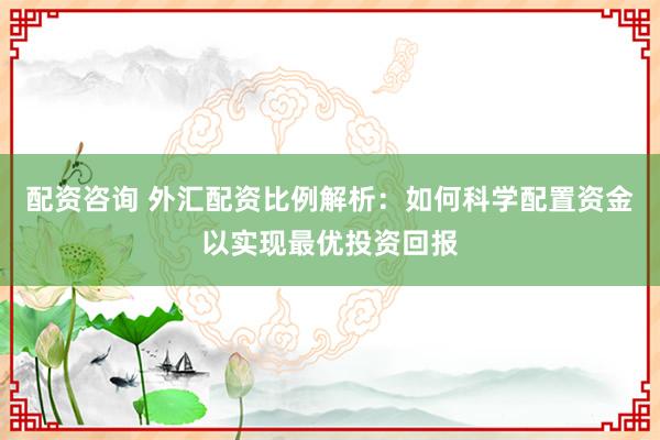 配资咨询 外汇配资比例解析：如何科学配置资金以实现最优投资回报