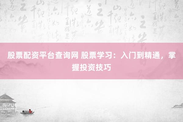 股票配资平台查询网 股票学习：入门到精通，掌握投资技巧